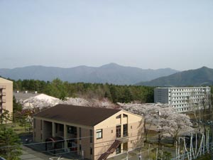 昭和大学