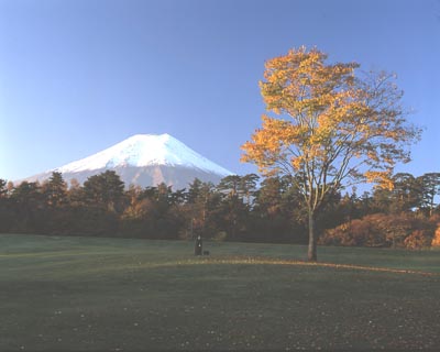 パインズパーク芝生広場