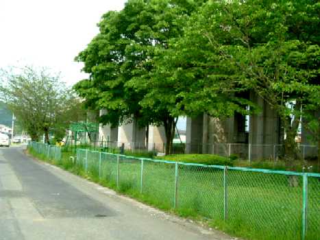 公園全体