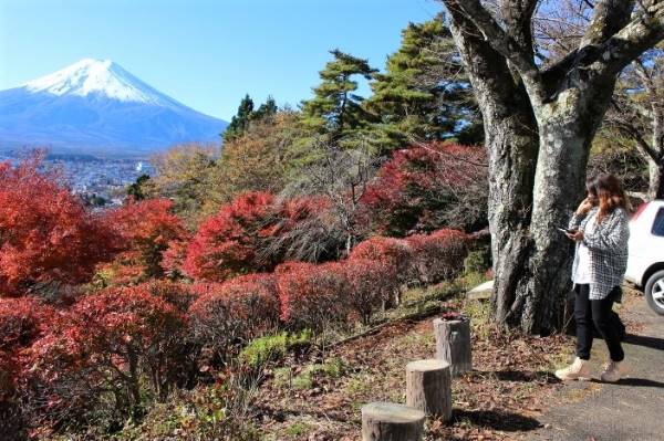 富士見孝徳公園の画像