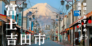 とら婚コネクト移住