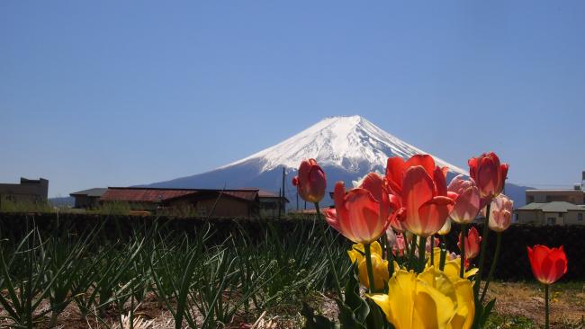 中学校