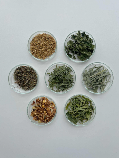 noi