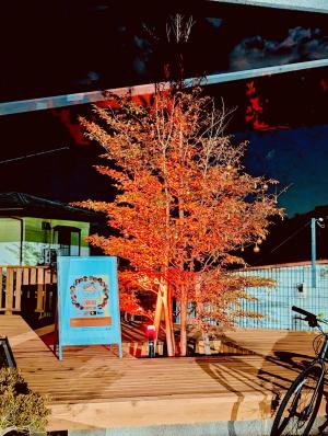 オレンジライトアップ写真