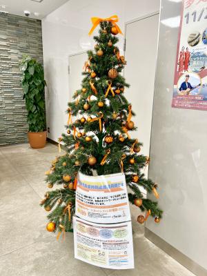 本庁ツリー写真