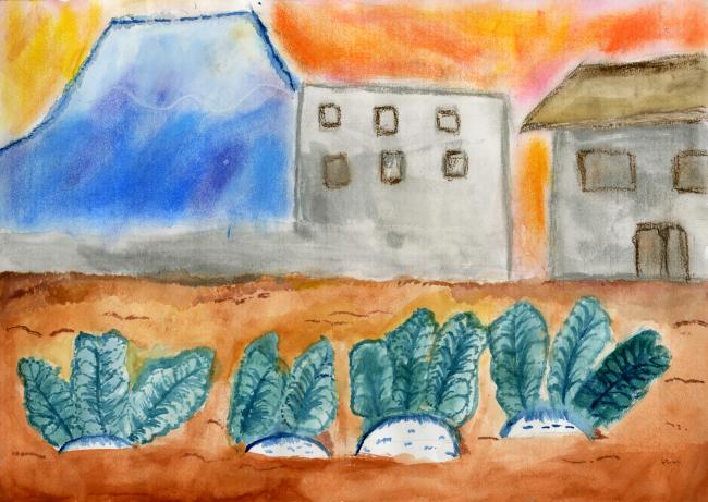 大根畑と富士山