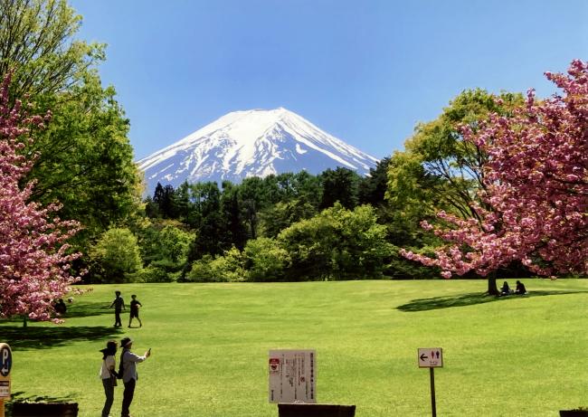 ここちよい春の日