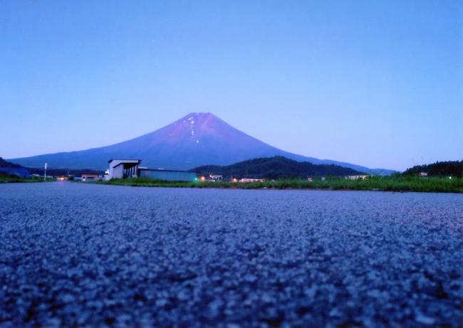 身長十センチメートル